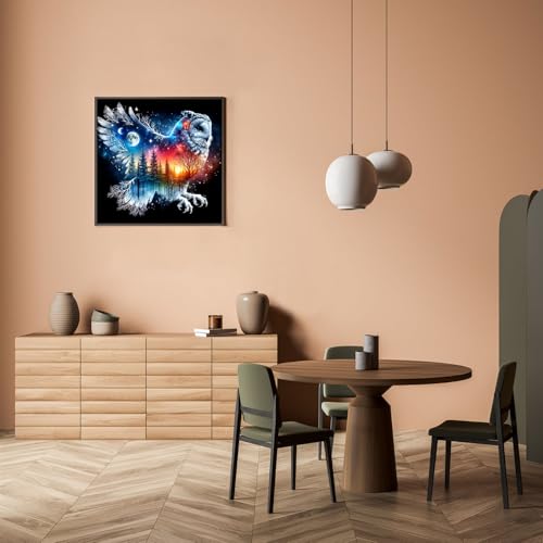 Owl DIY Diamond Art Kits for Adults, Animals 5D Diamond Painting Kits - color: CM073