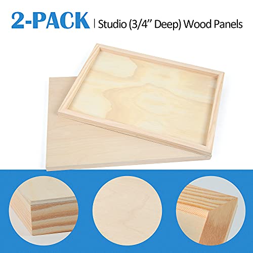 Falling in Art 2 Pack 12x16 Unfinished Birch Wood Panels Kit for Painting - size: 12*16 2-pack
