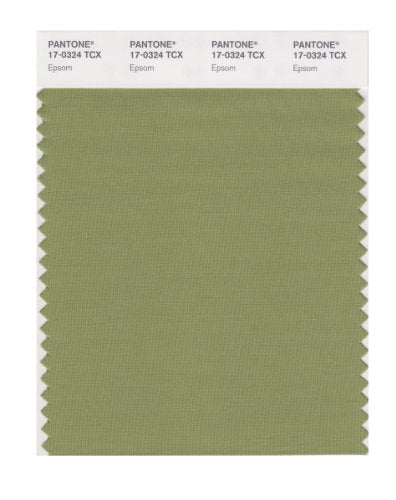 PANTONE SMART 17-0324X Color Swatch Card, Epsom - color: Epsom