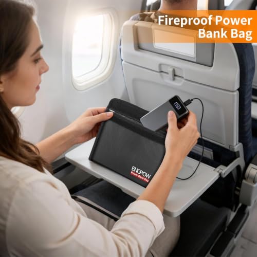 ENGPOW Fireproof Organizer Travel Safe Bag, Portable Electronic Carry Case - size: 10.6'' x 6.7''