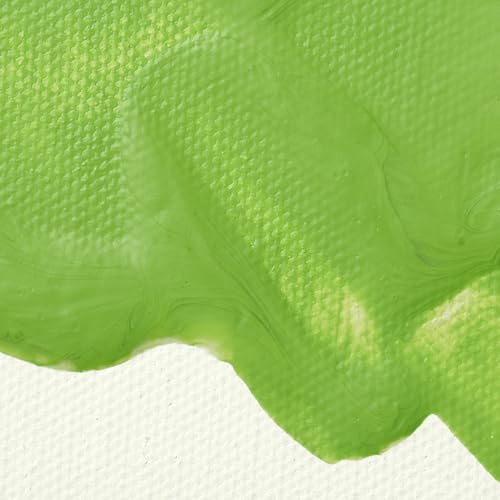Liquitex Professional Matte Medium, 473ml (16-oz) - color: Matte Medium, size: 16 Fl Oz (Pack of 1), style: 16-oz