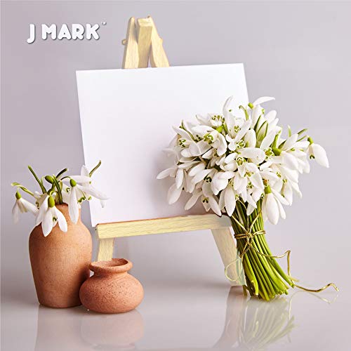 J MARK Paint and Canvas Set – Mini Canvas Acrylic Painting Kit with Wooden Easel, Canvases, Acrylic Paint, Brushes & Palette, Canvas Paint Set, Painting Kit for Adults & Kids - color: 14 Pcs