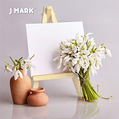J MARK Paint and Canvas Set – Mini Canvas Acrylic Painting Kit with Wooden Easel, Canvases, Acrylic Paint, Brushes & Palette, Canvas Paint Set, Painting Kit for Adults & Kids - color: 14 Pcs