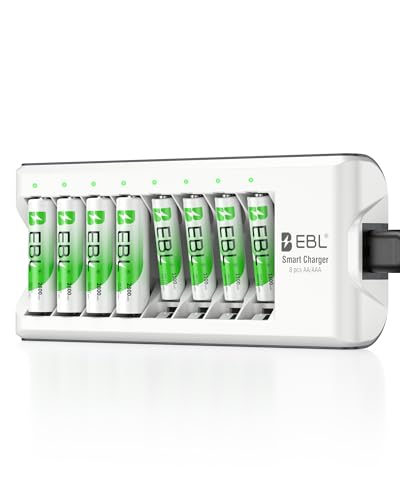 EBL 8-Bay Smart Charger + 4AA 2800mAh & 4AAA 1100mAh Rechargeable Batteries