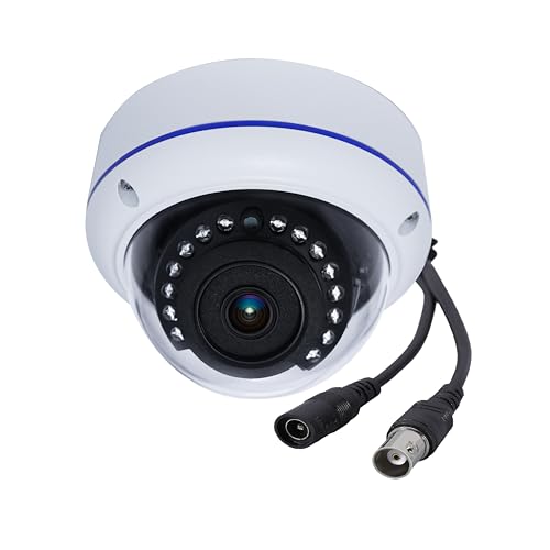 HD 1080P 2MP 180 Degree Fisheye Dome Security Camera Outdoor Indoor Wired Coax 1.7mm Lens Super Wide Angle 4 in 1 (TVI/AHD/CVI/BNC) Hybrid Analog CCTV Camera with IR Night Vision - style: 2MP analogue 180 degrees