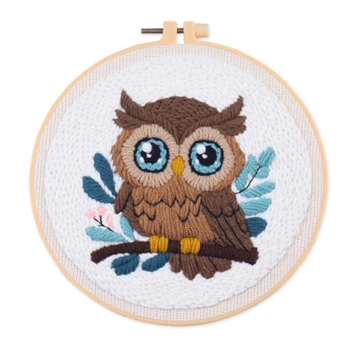 Myfelicity Adorable Owl Punch Needle Kit – Beginner-Friendly DIY Craft Set with Wool, Needle, Pattern, and Tools – Fun Felted Animal Project for Creative Hobbyists - color: owl