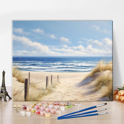 TUMOVO Gentle Waves Lapping at Shore Paint by Numbers Craft Kit for Adults - color: Beach