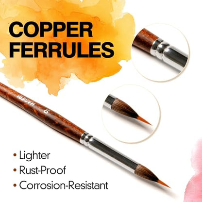 Professional Watercolor Brushes, 6Pcs Sable & Synthetic Extended Needle Point Detail Liner Paint Brushes