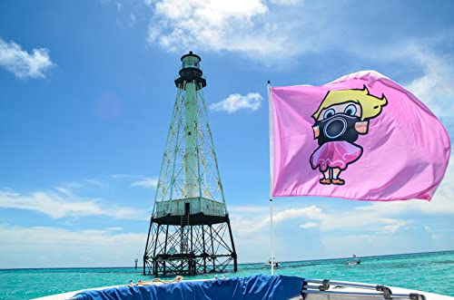 South Wind Designs Boat Flag Pole for Rod Holder, No Drill, (2) 6 ft Pole - size: Two 6' Poles