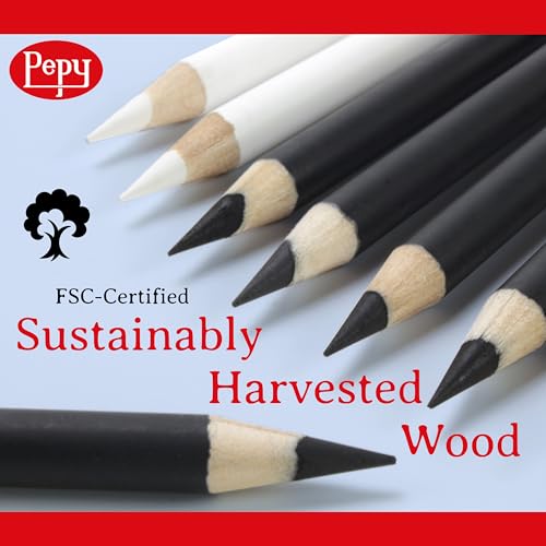Pepy Professional Medium Charcoal Pencil Drawing Set – Set of 6 Pre-Sharpened Black Charcoal Pencils; Perfect for Drawing, Sketching, Blending and Shading