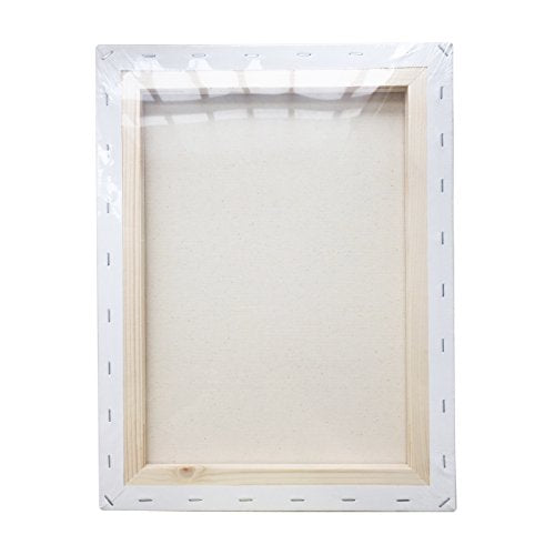 LWR CRAFTS Stretched Canvas 11" X 14" Pack of 6 - size: 11"x14"x6