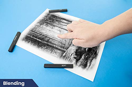Pacific Arc Compressed Charcoal Sticks Soft 12 Pack for Drawing, Sketching, and Shading - style: Soft | 12 Pack
