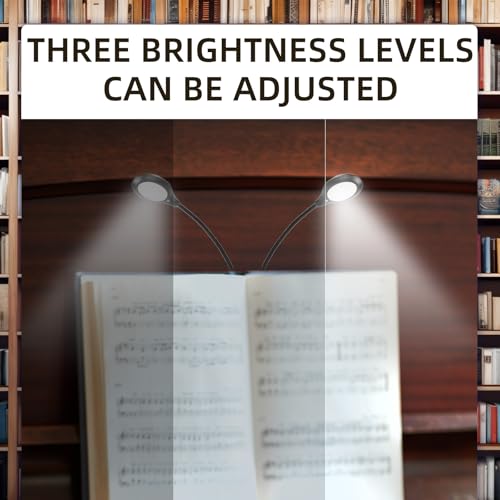 Flylin 8 LED Music Stand Light, Dual Arm 3 Brightness Levels Black Battery
