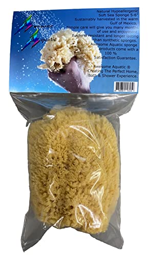 Natural Yellow Grass Sea Sponge 5-6 in Large Bath Shower Artist Painting - style: Yellow Grass 5-6 Inch