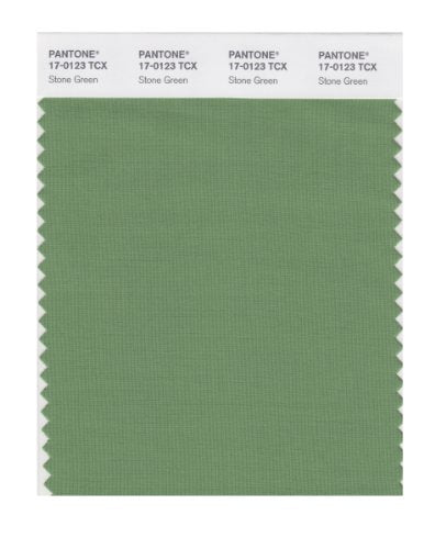 PANTONE SMART 17-0123X Color Swatch Card, Stone Green - color: Stone Green