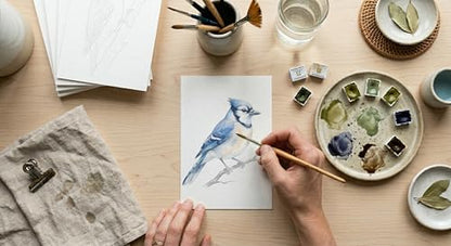 Watercolor Sketch-to-Paint Cards 5x7 – 2 Complete Sets (16 Paintable Cards on 300gsm Watercolor Paper) – Includes Reference Images & Instructions – Watercolor Practice (Birds & Blossoms)