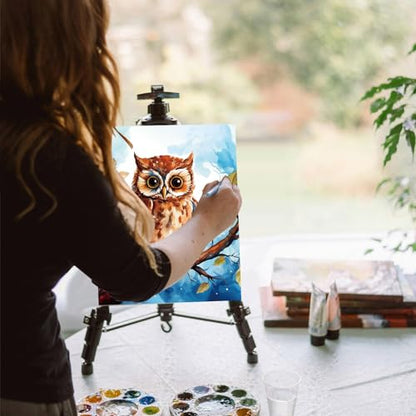 AmazingSpark 16 Pcs Pre Drawn Canvas to Paint for Adults Spring and Summer - style: Spring and Summer