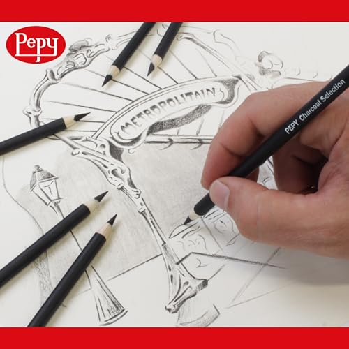 Pepy Professional Medium Charcoal Pencil Drawing Set – Set of 6 Pre-Sharpened Black Charcoal Pencils; Perfect for Drawing, Sketching, Blending and Shading