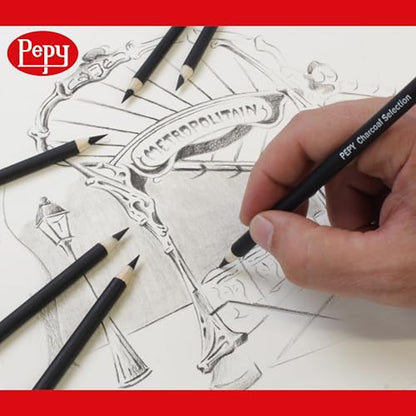 Pepy Professional Medium Charcoal Pencil Drawing Set – Set of 6 Pre-Sharpened Black Charcoal Pencils; Perfect for Drawing, Sketching, Blending and Shading