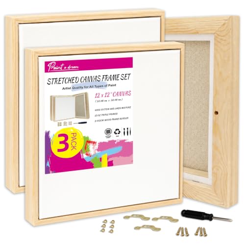 3 Pack 12 x 12 inch Floater Frame Canvas 12 oz Acid-Free Warp Resistant - size: 3pk - 12x12"
