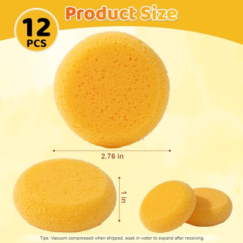 12Pcs Pottery Sponges, Round Clay Sponge, Elasticity, Soft