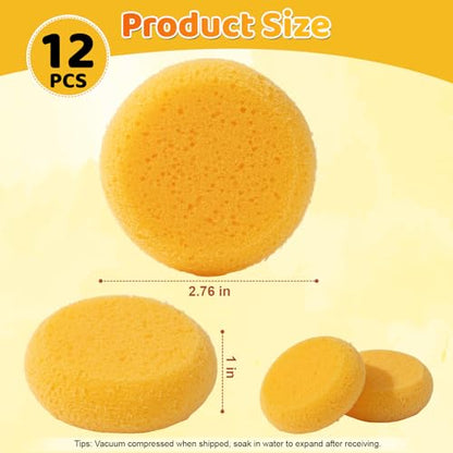 12Pcs Pottery Sponges, Round Clay Sponge, Elasticity, Soft