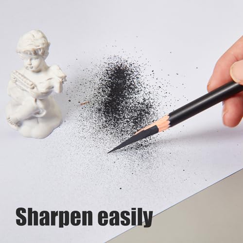 Geyoga 180 Pcs Professional Charcoal Pencils for Drawing Bulk