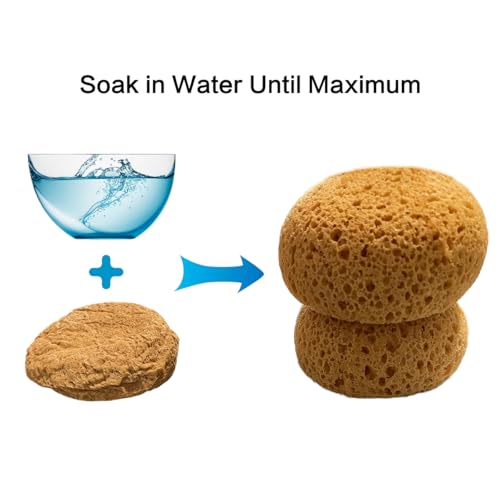 Knockdown Texture Sponge, Large 5.5x4.6x2.6'' Drywall and Wall Patch Ceiling Texture Sponge, Texture Patch Sponges Home Decor for Repair DIY Painting Ceiling (1 Pack)