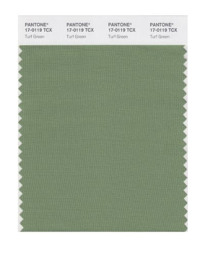 PANTONE SMART 17-0119X Color Swatch Card, Turf Green - color: Turf Green