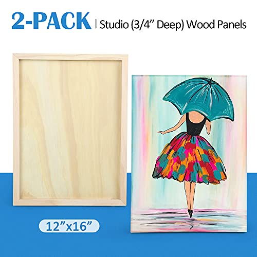 Falling in Art 2 Pack 12x16 Unfinished Birch Wood Panels Kit for Painting - size: 12*16 2-pack
