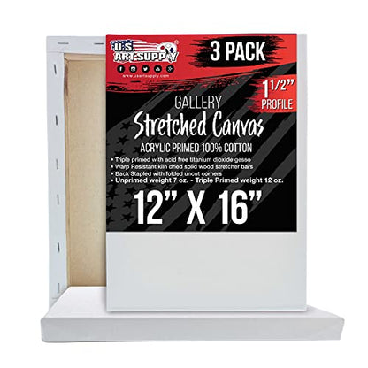 U.S. Art Supply 12"x16" Stretched Canvas for Painting, Gallery Depth 3-Pack - size: 12" x 16"