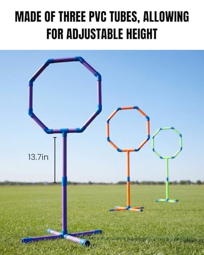 6-in-1 Drone Obstacle Course Kit with Carry Bag - 6 Shapes Multi-Configuration FPV Racing Gates, Wind-Resistant Ground Stakes, Training Set for RC Quads & Micro Drones (3-Size Set)