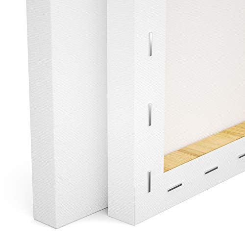 GOTIDEAL Stretched Canvas, 8x10 Inch Set of 10, Primed White - color: White, size: 8"x10"