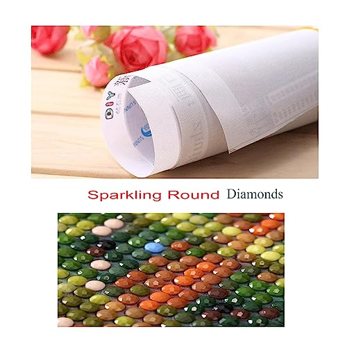 BOHADIY 5D Diamond Art Painting Kits for Beginners, Snowy Mountain Art Kits for Beginner,DIY River Flower Full Round Gem Crystal Art Paint by Diamond Home Wall Decor12X16inch