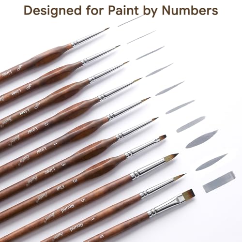Bougimal 12 Pcs Detail Paint Brushes Set, Fine Detailing & No Shedding