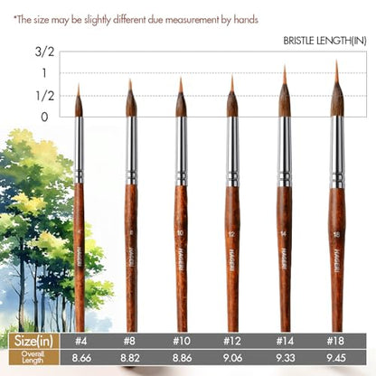 Professional Watercolor Brushes, 6Pcs Sable & Synthetic Extended Needle Point Detail Liner Paint Brushes