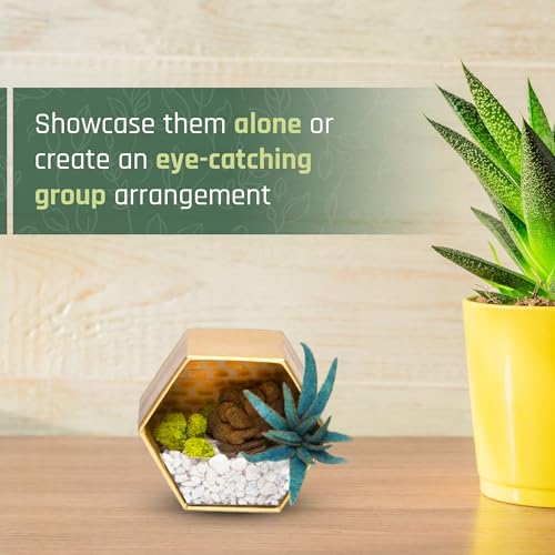Craft Crush — Mini Plants Terrariums Easy Fun Arts and Craft Kit — Make 3 Charming Faux Terrariums! — For Ages 13 and Up - size: Mini, style: Craft Crush Mini Terrariums Craft Kit