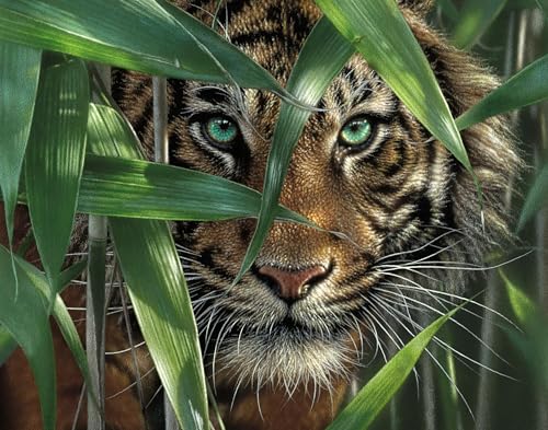 Ledgebay Paint by Numbers Kit for Adults, 16x20 Unframed Canvas - color: Bamboo Tiger, size: 16" x 20" Unframed