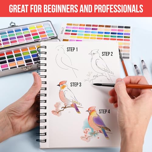 Watercolor Paint Set 100 Vibrant Colors for Adult Beginner Professional - color: Standard Set