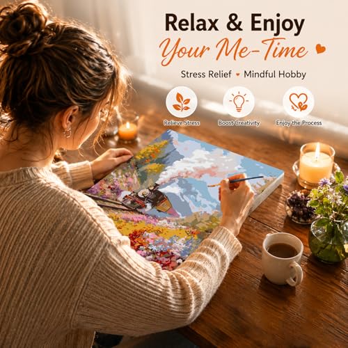 AUKELHJ Paint by Numbers Kit for Adults Beginner, Train, 16X20 Inch - color: 14-Train
