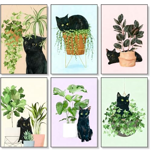 6 Pack Paint by Numbers Kit for Adults & Beginners, Black Cat & Green Plant - color: OP6NFUS2511-02