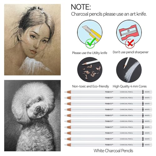 PANDAFLY Professional White Charcoal Pencils Set, 14 Piece - color: White, size: 1 Count (Pack of 14)