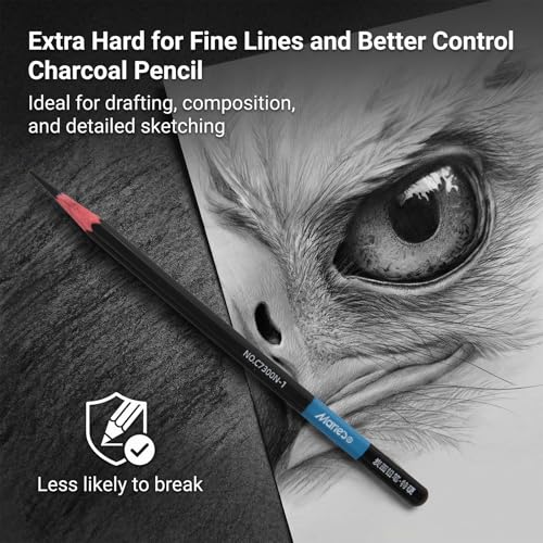 Marie's Charcoal Pencils for Drawing, 10 Pieces, Extra Hard Hard Medium Soft Extra Soft, Sketching Pencils for Artists, Smooth Charcoal Core for Layering, Blending and Detailed Artwork(Medium) - style: Medium (10pcs)