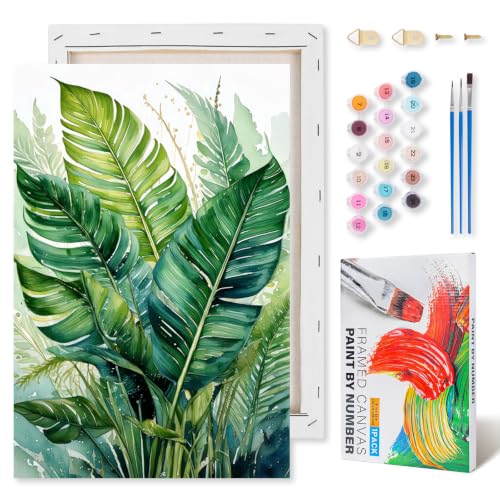 Kalonyth Plants Framed Paint by Numbers Kit for Adults Beginner 8x12 inch - color: Frame-OP-US13
