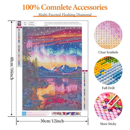 Diamond Art Kits for Adults, Aurora DIY 5D Diamond Painting for Beginners - color: BLKJDP03