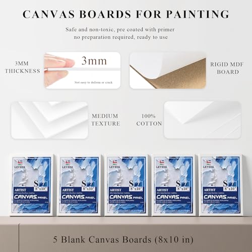 LEYEDZ Acrylic Paint Set for Kids & Adults,Art Supplies Kit with Canvas