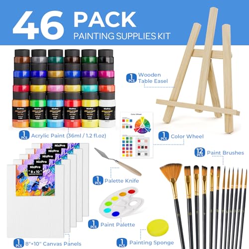 Nicpro 46PCS Acrylic Paint Canvas Set for Adults with 24 Paints (36ML) - color: 24 colors