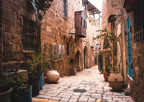 BELECO 5x3ft Fabric Old City Street Backdrop Israel Retro Stone Houses Wall Flowerpots Nostalgia Pictures Background Kids Adults Portrait Photoshoot Studio Photography Background Props - size: 5x3FT