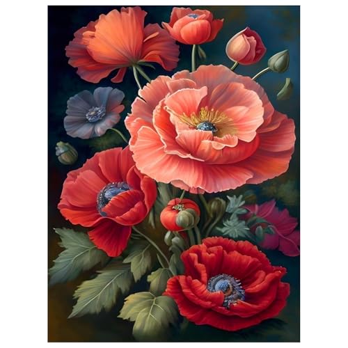 Poppy Paint by Numbers Kit for Adults, 16x20 inch - color: FLOWER01 without frame