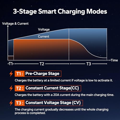 LiTime 12V 20A Lithium Battery Charger for 12.8V LiFePO4 Batteries, AC-DC